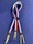 BRETELLE TRICOLORE  Patte Cuir
