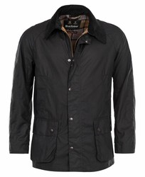 ASHBY NAVY NY92