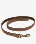 LEATHER DOG LEAD