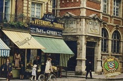 GILET DASSY r�f ELLIS