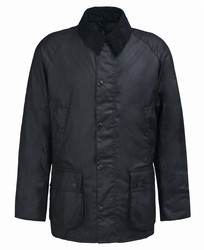 ASHBY BLACK clasisic