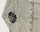 Gilet Cardigan PENDLE