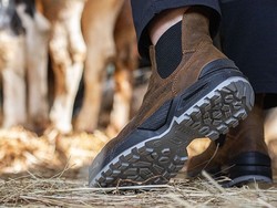 CHAUSSURE GIASCO rf QUARTZ 3