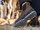 CHAUSSURE GIASCO rf QUARTZ 3